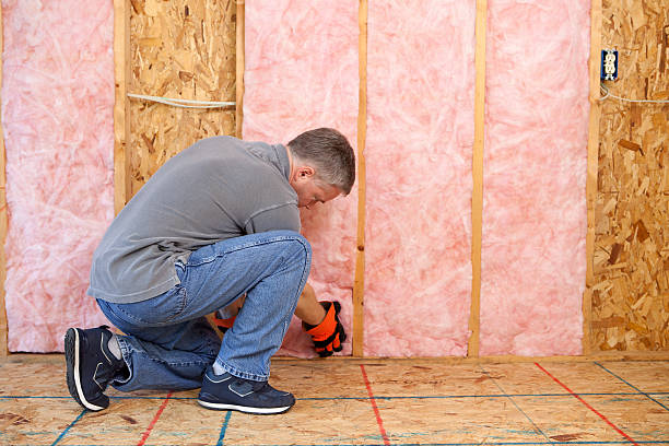 Best Cellulose Insulation in Countryside, VA