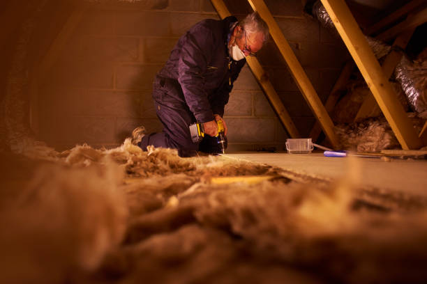 Best Energy Efficiency Insulation in Countryside, VA